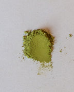 Standard Grade Matcha — Wholesale