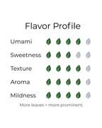 Starter Set (2-Pack)