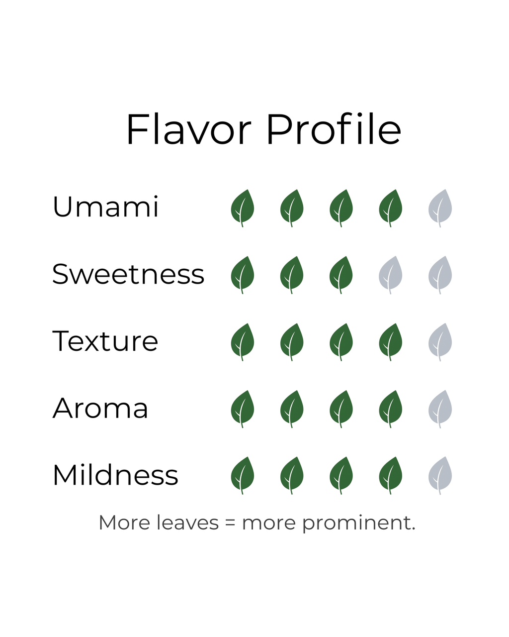 Discovery Set Trio (3-Pack)