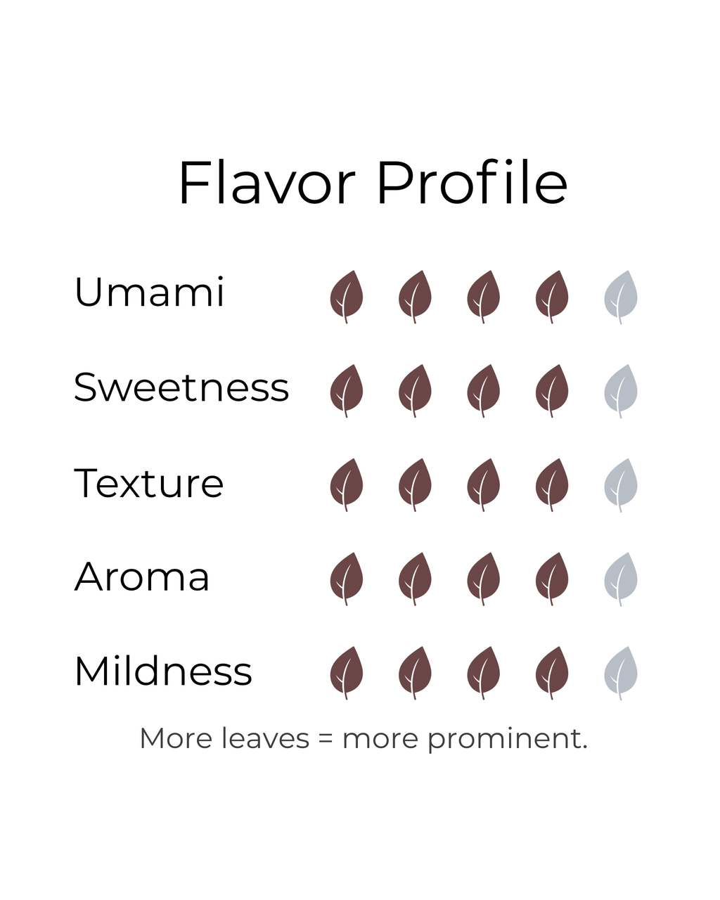 Discovery Set Trio (3-Pack)