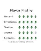 Starter Set (2-Pack)